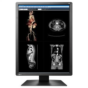 EIZO MX216  2