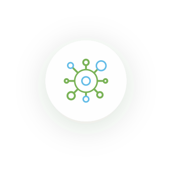 vertexico2